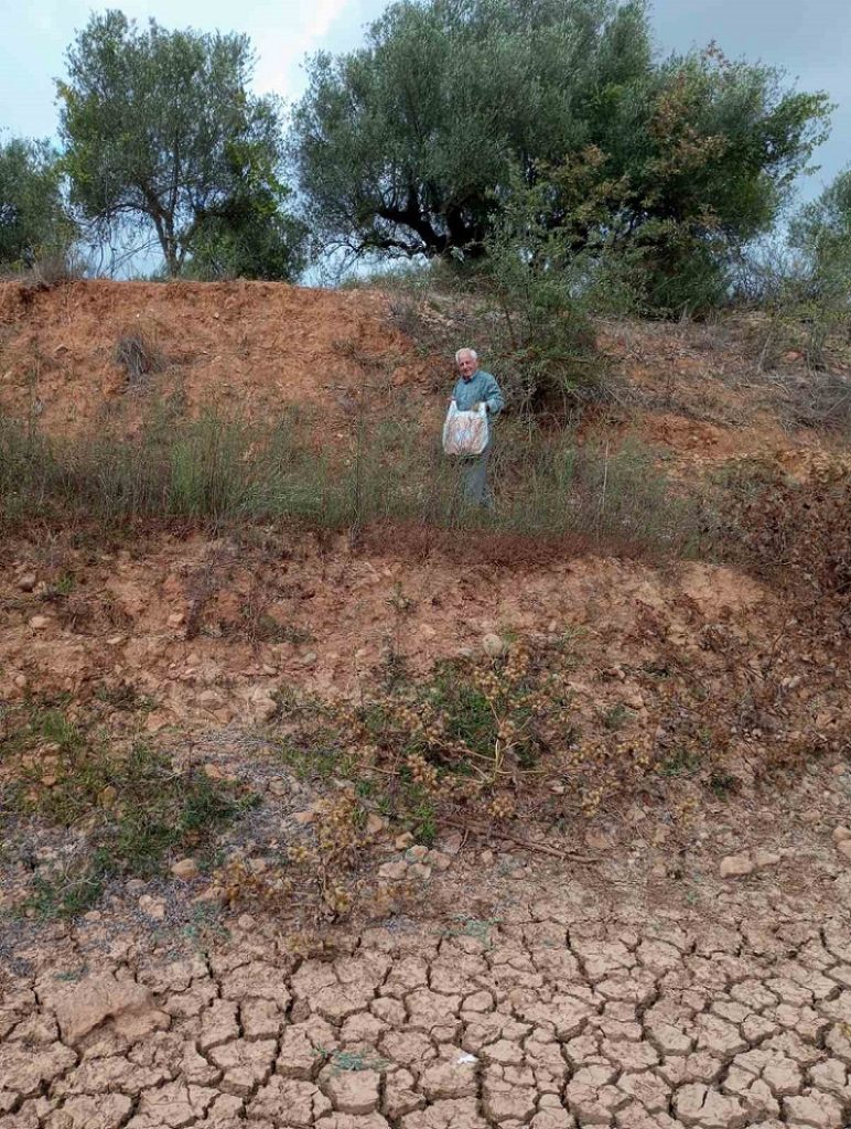 Αυτή η εικόνα δεν έχει ιδιότητα alt. Το όνομα του αρχείου είναι fragma3.020923-772x1024.jpg